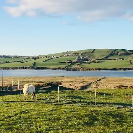The Snuggly Sheep Farm Shepherd Hut *