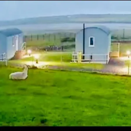 The Snuggly Sheep Farm Shepherd Hut *