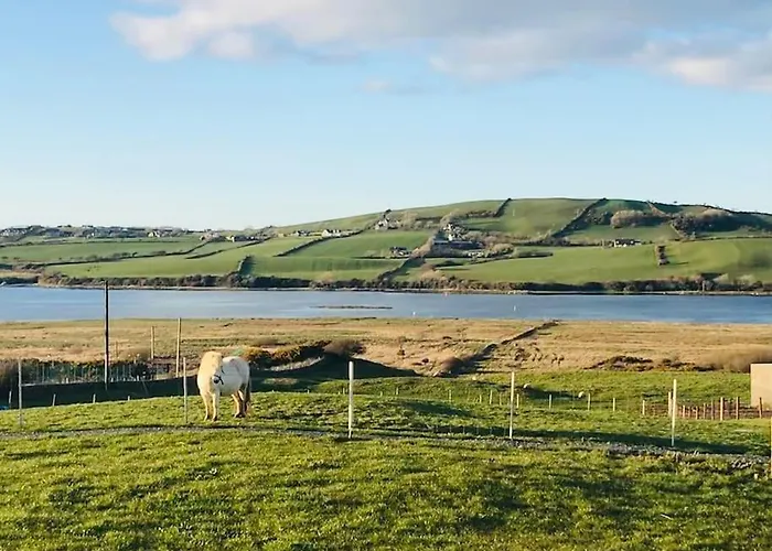 The Snuggly Sheep Farm Shepherd Hut *