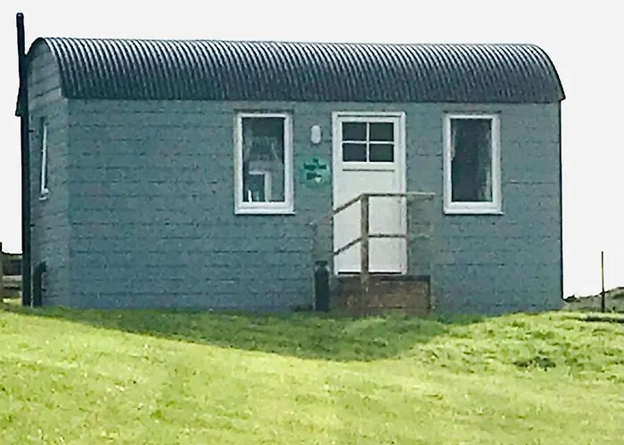 Апартаменты The Snuggly Sheep Farm Shepherd Hut