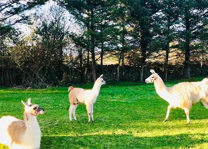 The Snuggly Sheep Farm Shepherd Hut Apartman *