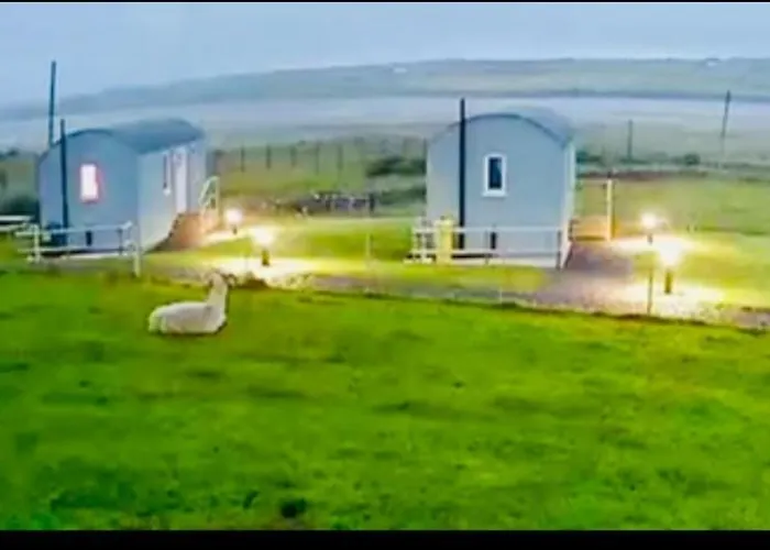 The Snuggly Sheep Farm Shepherd Hut *